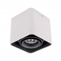 Spot Aplicat Tavan Alb cu Negru 1xGU10