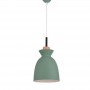 Lustra Tip Pendul Verde Mat cu Dulie E27 ideal pentru bucatarie si restaurant