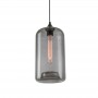 Lustra sticla transparenta gri 1XE27