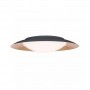 Plafoniera LED neagra reflector Gold 20W