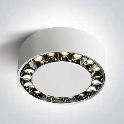 Spot Tavan Alb cu Negru 24W Lumina Calda CRI90 Design Modern cu 5 Ani Garantie