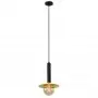 Pendul Negru cu Auriu D215mm H1930mm