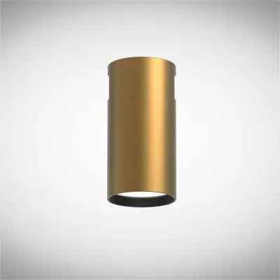 Spot Sina Magnetica Creation Cilindric Auriu 5W 24V 3000K