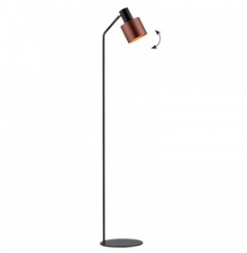 Lampadar  Negru cu Alama 1xE27