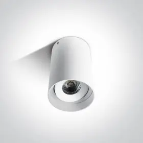 Spot LED Aplicat pe Tavan 10W  3000K Model 10D