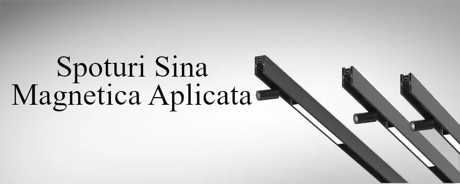 Spoturi Sina Magnetica Neagra Aplicata pe tavan sau Perete