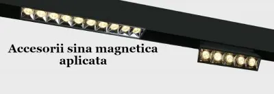Accesorii sina magnetica aplicata