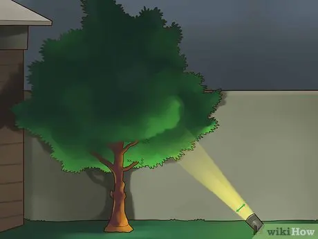iluminat arbori